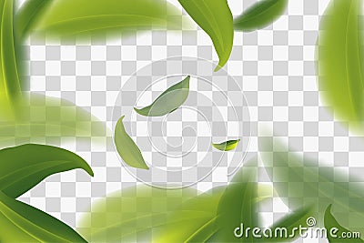 vividly flying green tea leaves, transparent background Vector illustration. Cartoon Illustration