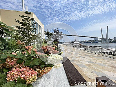 Vladivostok, Russia, September, 09, 2023. Korabelnaya Embankment, Golden Bridge, Grand Hotel and SPA Editorial Stock Photo