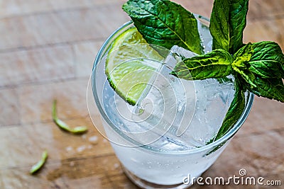 Vodka or Gin Tonic Cocktail with lime, mint leaves and ice. Stock Photo