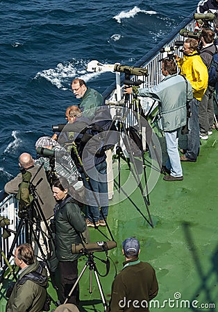 Vogelaars, Birdwatchers Editorial Stock Photo