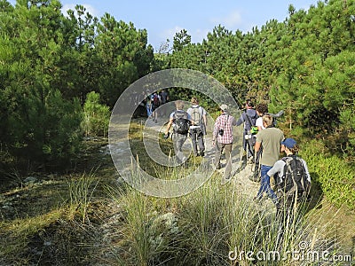 Vogelaars in duinen, Birders in dunes Editorial Stock Photo