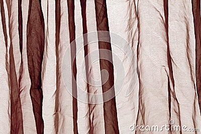 Voile curtain brown Stock Photo