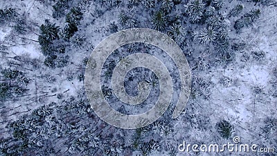 Vol de vue aérienne au-dessus des couronnes d'arbres forestiers d'hiver en neige très lourdes un jour ensoleillé Beaut banque de vidéos Vol de vue aérienne au-dessus des couronnes d'arbres forestiers d'hiver en neige très lourdes un jour ensoleillé Beaut banque de vidéos