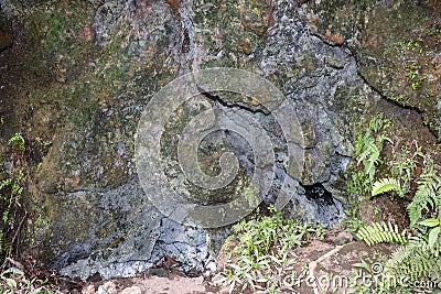 Volcanic chimney with escaping smoke and gases on the crater wall of the active Batur volcano.A volcano crater spewing white gas Stock Photo