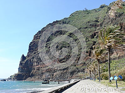 Volcanic cliffs and palm trees at Ponta do Sol of Madeira. Stock Photo