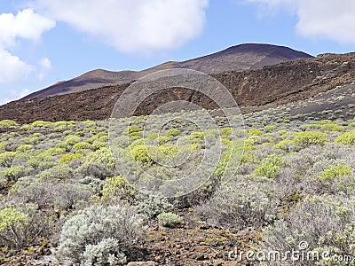 Volcanic landscape near Orchilla lighthouse, El Hierro island. Spain Stock Photo