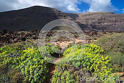 Volcanic landscape, Orzola, Lanzarote Stock Photo