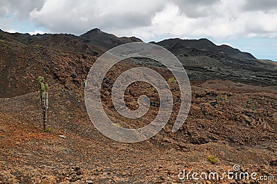 Volcanic landscape, Sierra Negra, Galapagos. Stock Photo