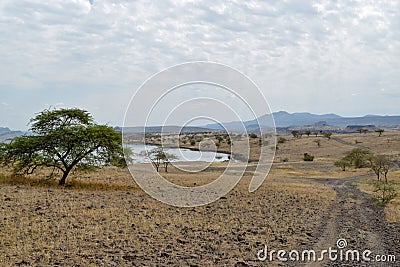 Volcanic landscapes at Lake Magadi, Kenya Stock Photo