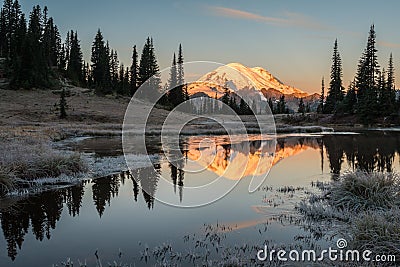 Mount Rainier reflecting in an icy Upper Tipsoo Lake at dawn Stock Photo