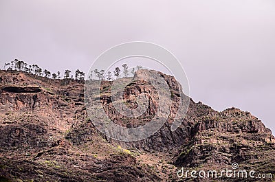 Volcanic Rock Basaltic Formation in Gran Canaria Stock Photo