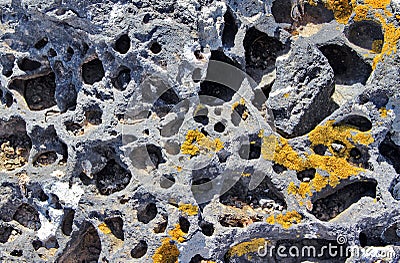 Lichen growing on volcanic rock Stock Photo