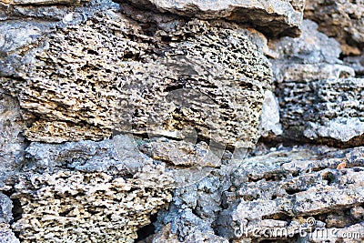 Volcanic rock. Stone texture closeup with white and brown tint. Selective focus Stock Photo