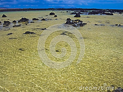 Volcanic rocks in green water of a quiet bay near the ocean. Glare on the water. Waves from the breeze Stock Photo