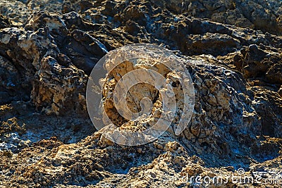 Volcanic stone formations on beach. Natural texture with blur Stock Photo