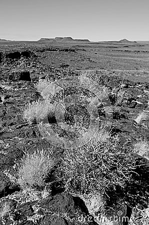 Volcanic stoneformations and desert bushes at the boarder of the Fish River Canyon Stock Photo