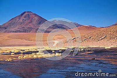 Volcano Cerro Colorado near Rio Putana, Atacama Stock Photo
