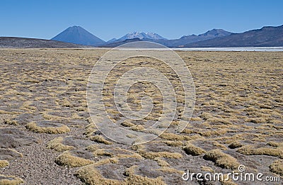 Volcano El Misti and volcano Nevado Chachani Stock Photo