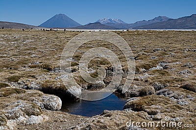 Volcano El Misti and volcano Nevado Chachani Stock Photo