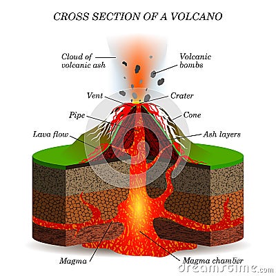 Volcano igneous eruption in the cross section. Education scientific scheme Vector Illustration