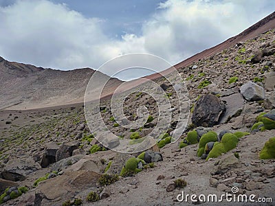 Volcano nevado chachani above arequipa Stock Photo