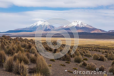 Volcano Nevado Sajama Stock Photo