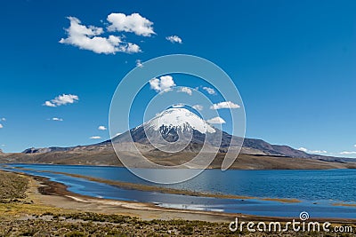 Volcano Parinacota snow top in Chile and Bolivia Stock Photo