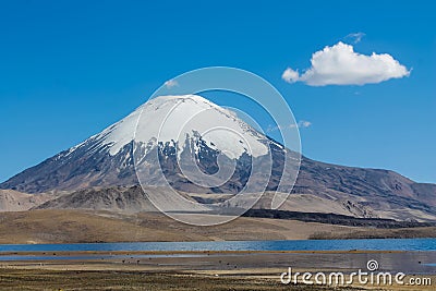 Volcano Parinacota snow top in Chile and Bolivia Stock Photo