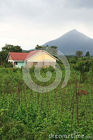Volcanoes in Kisoro, Uganda Stock Photo