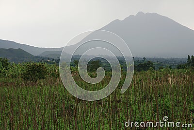 Volcanoes in Kisoro, Uganda Stock Photo