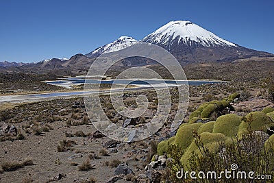 Volcanoes in Lauca National Park Stock Photo