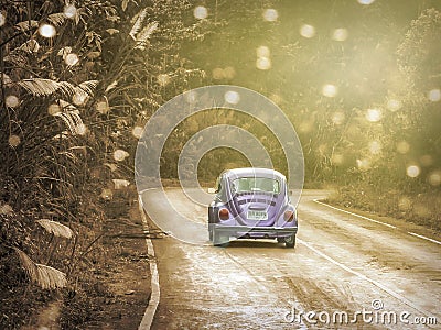 Volkswagen older cars moving along a path in a mountain forest in the natural attraction Doi Phu Kha National Park. Editorial Stock Photo