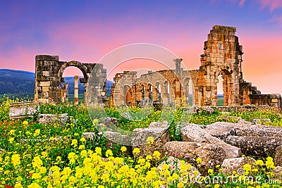 Volubilis, Morocco. Stock Photo