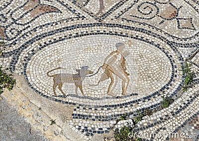 Volubilis mosaic featuring Hercules 12th labor, capturing and returning Cerberus. Stock Photo