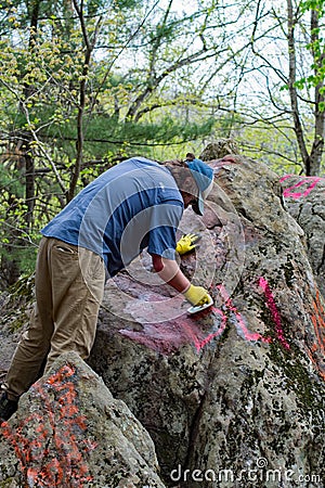 A Volunteer Removing Graffiti From a Boulder Editorial Stock Photo