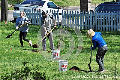 Volunteer Tree Planting Riparian Restoration Project Editorial Stock Photo