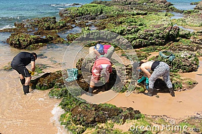 Volunteers remove black oil from the Rio Vermelho beach spilled by a ship in the Brazilian sea Editorial Stock Photo