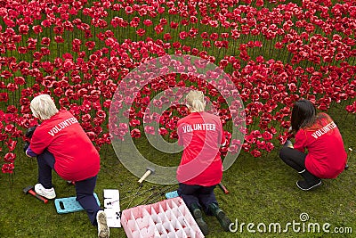 Volunteers working with poppies near Tower of London Editorial Stock Photo