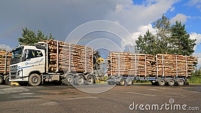 Volvo FH16 700 Birch Timber Transport Editorial Stock Photo