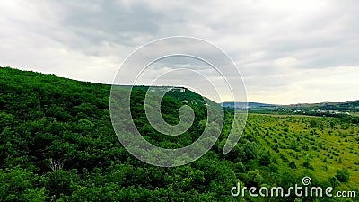 Voo sobre a floresta nas montanhas filme Voo sobre a floresta nas montanhas filme