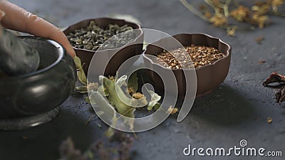 Voorbereiding van geneeskrachtige kruiden voor gebruik Geneeskrachtige installaties op de lijst De vrouw wrijft geneeskrachtige i stock footage Voorbereiding van geneeskrachtige kruiden voor gebruik Geneeskrachtige installaties op de lijst De vrouw wrijft geneeskrachtige i stock footage