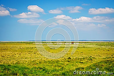 The salt marshes and mud flats in the estuary of the River Somme. Stock Photo