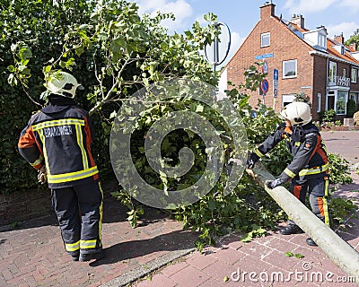 Firefighters remove fallen tree in dutch town on Voorschoten in the netherlands after summer storm Editorial Stock Photo