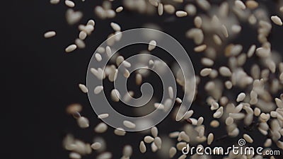 Vorbereitung des Burgers Sesamstartwerte für zufallsgenerator Nahrung Küche koch stock footage Vorbereitung des Burgers Sesamstartwerte für zufallsgenerator Nahrung Küche koch stock footage