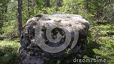 Vottovaara Karelia - stone sade Stock Photo