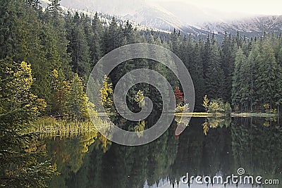 Vrbicke lake shores in the autumn atmospheric Stock Photo