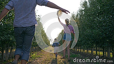 Vrolijke familie van tuinlieden die met jong geitje in boomgaard tijdens het oogsten in backlight spelen stock footage Vrolijke familie van tuinlieden die met jong geitje in boomgaard tijdens het oogsten in backlight spelen stock footage