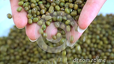 Vrouwenhanden die mung bonen op lijst houden Vrouwenhanden die mung bonen op lijst houden