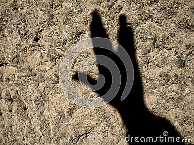 Vulcan greeting hand live long and prosper sign silhouette Stock Photo