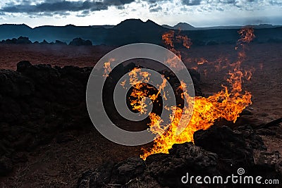 Vulcanic Landscape with fire of the Timanfaya National Park in Lanzarote, Canary Islands, Spain Stock Photo